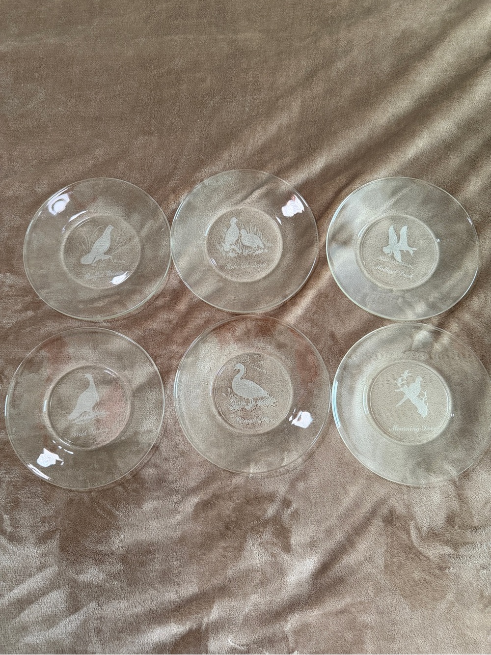 Set of 6 8” Clear Etched Glass Plates with Birds